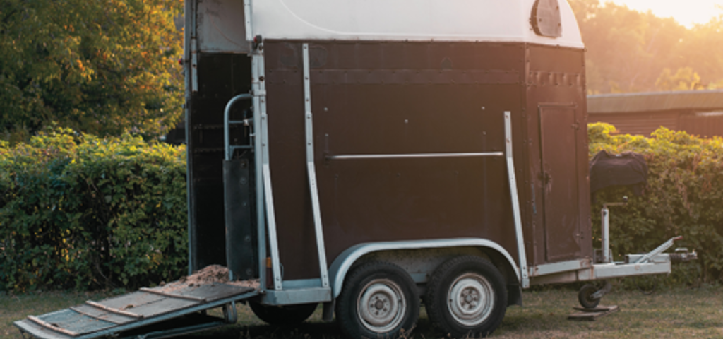 A brown horse trailer featuring a white roof and lowered ramp, illuminated by bright sunlight.