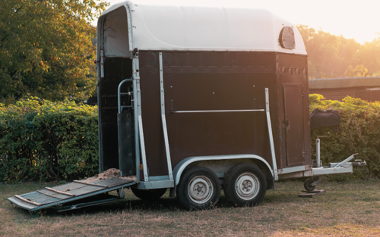A brown horse trailer featuring a white roof and lowered ramp, illuminated by bright sunlight.