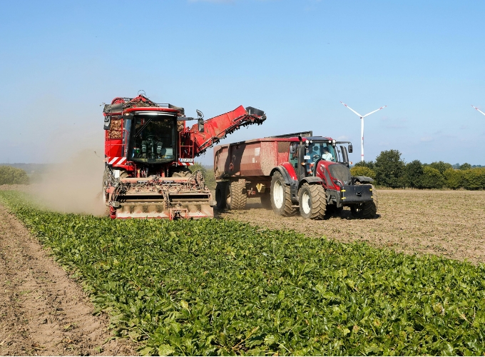 Red Harvester And Tractor Working Together In A Sugar Beet Field, With Wind Turbines On The Horizon