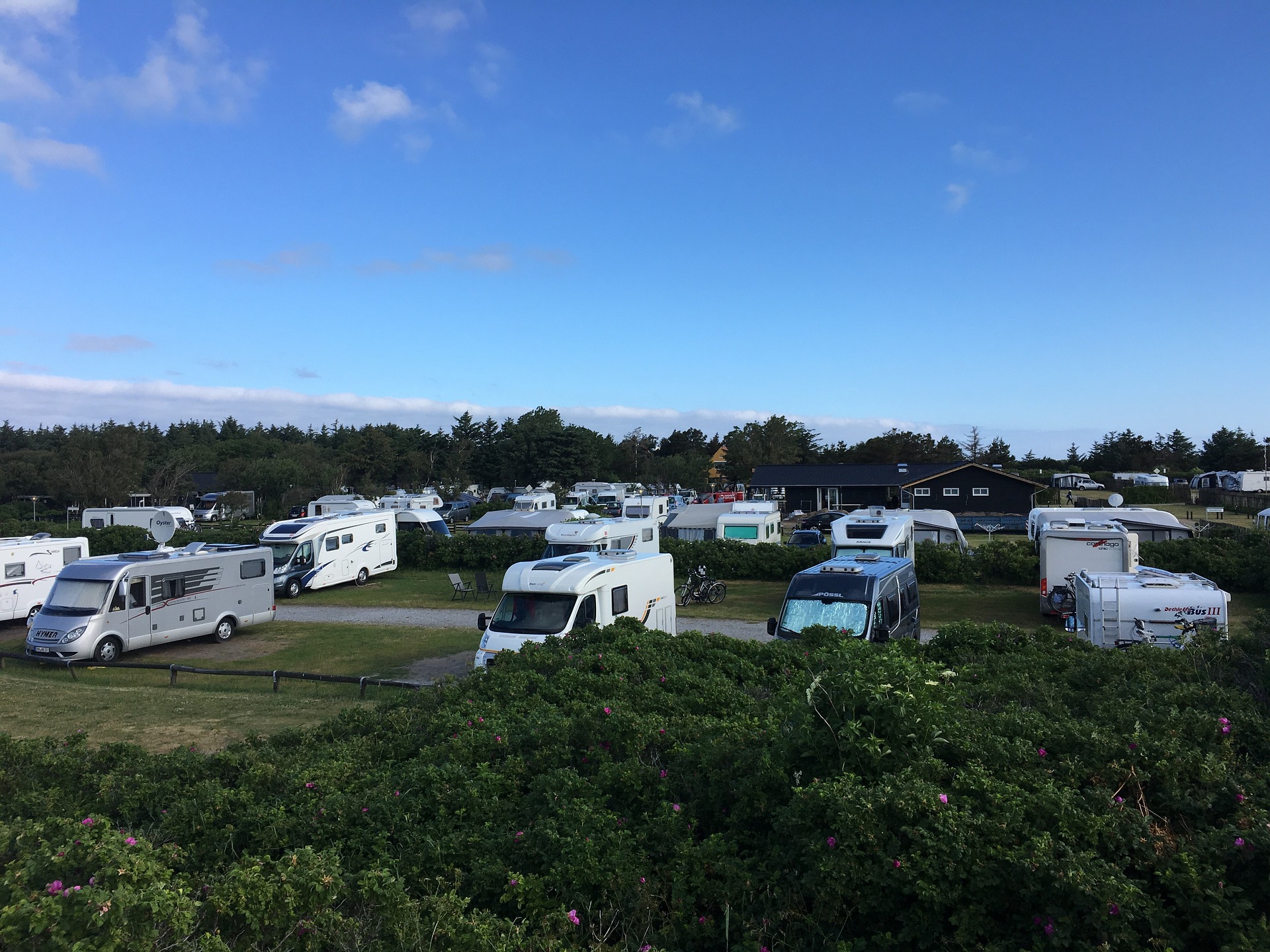 Various motorhomes arranged in a campground, surrounded by trees and nature.