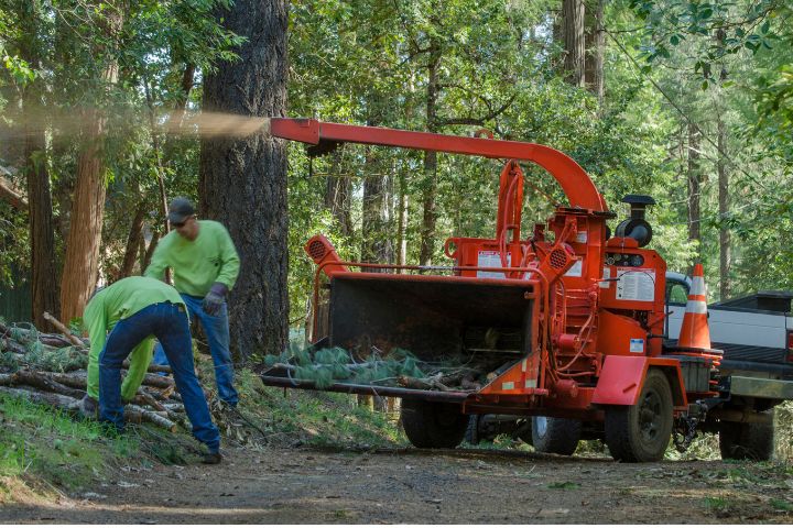 Red And Green Chipper With VIN Chip Protection